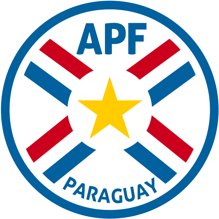 Paraguay 2014-Pres Primary Logo t shirt iron on transfers